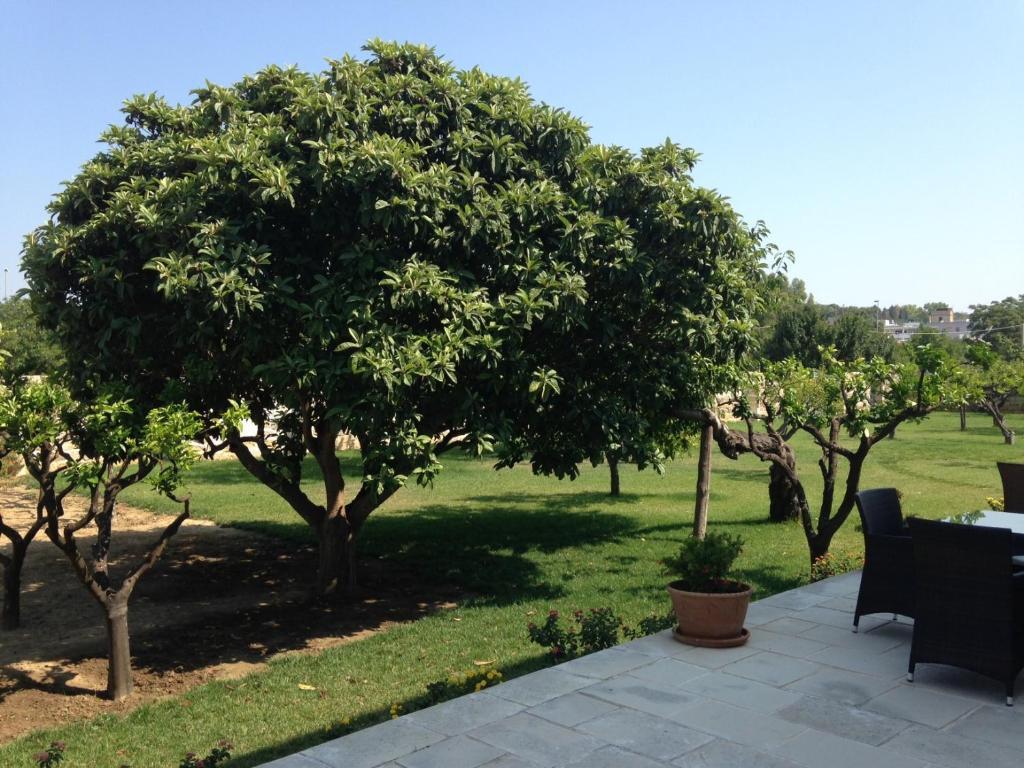 Masseria Carignani Tuglie Exterior photo